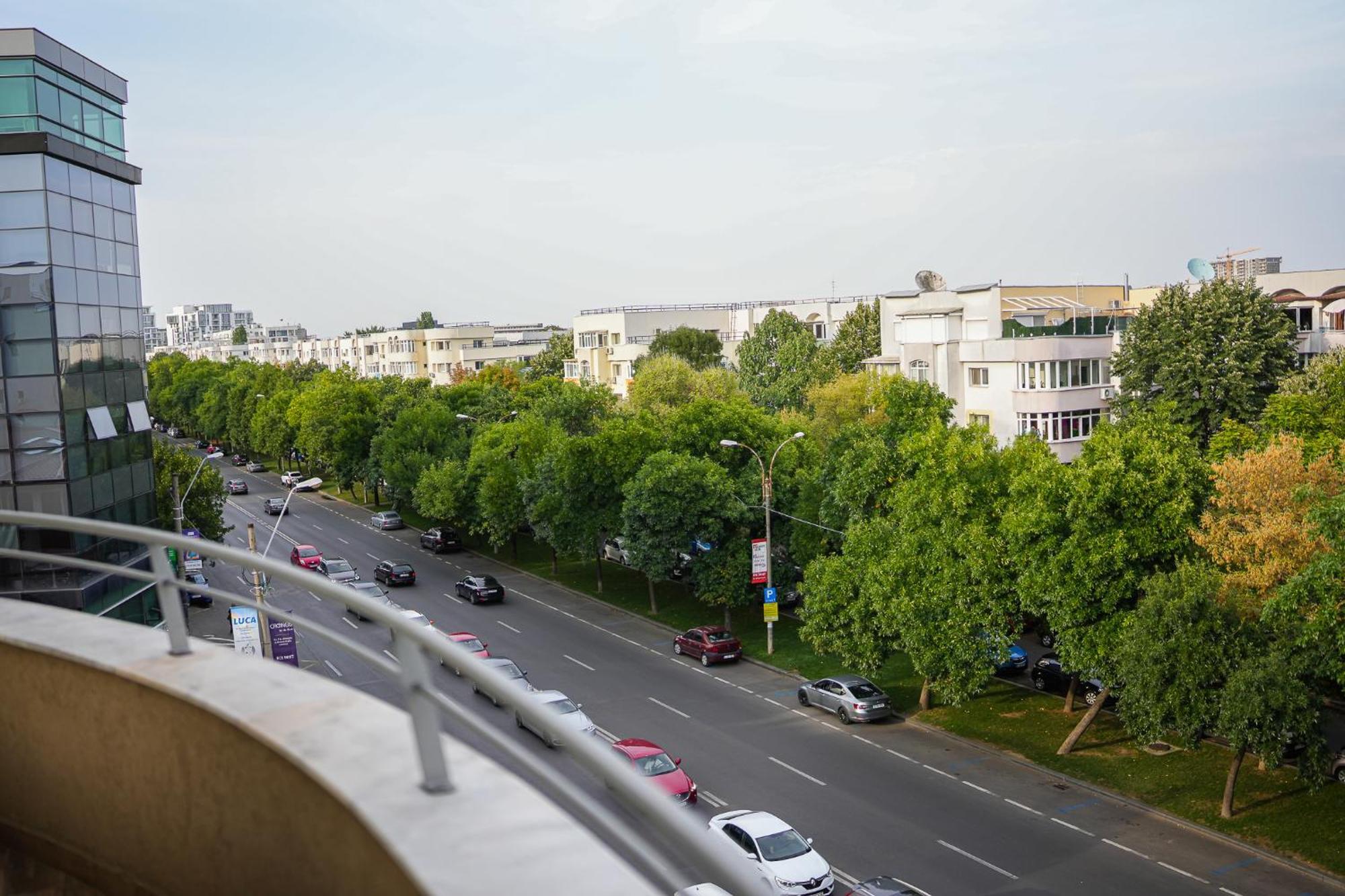 Penthouse With Huge Rooftop Terrace & City View Bükreş Dış mekan fotoğraf